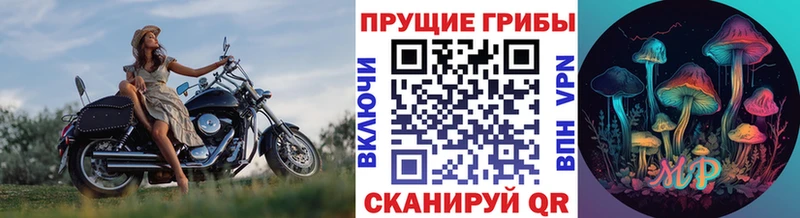Псилоцибиновые грибы Psilocybe  blacksprut сайт  Поворино  сколько стоит 